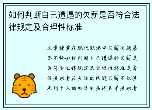 如何判断自己遭遇的欠薪是否符合法律规定及合理性标准