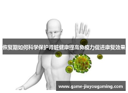 恢复期如何科学保护肾脏健康提高免疫力促进康复效果