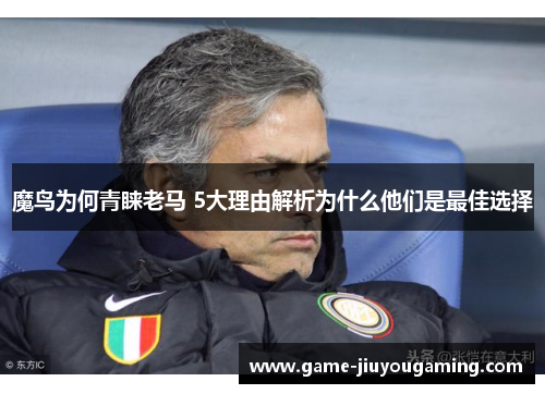 魔鸟为何青睐老马 5大理由解析为什么他们是最佳选择